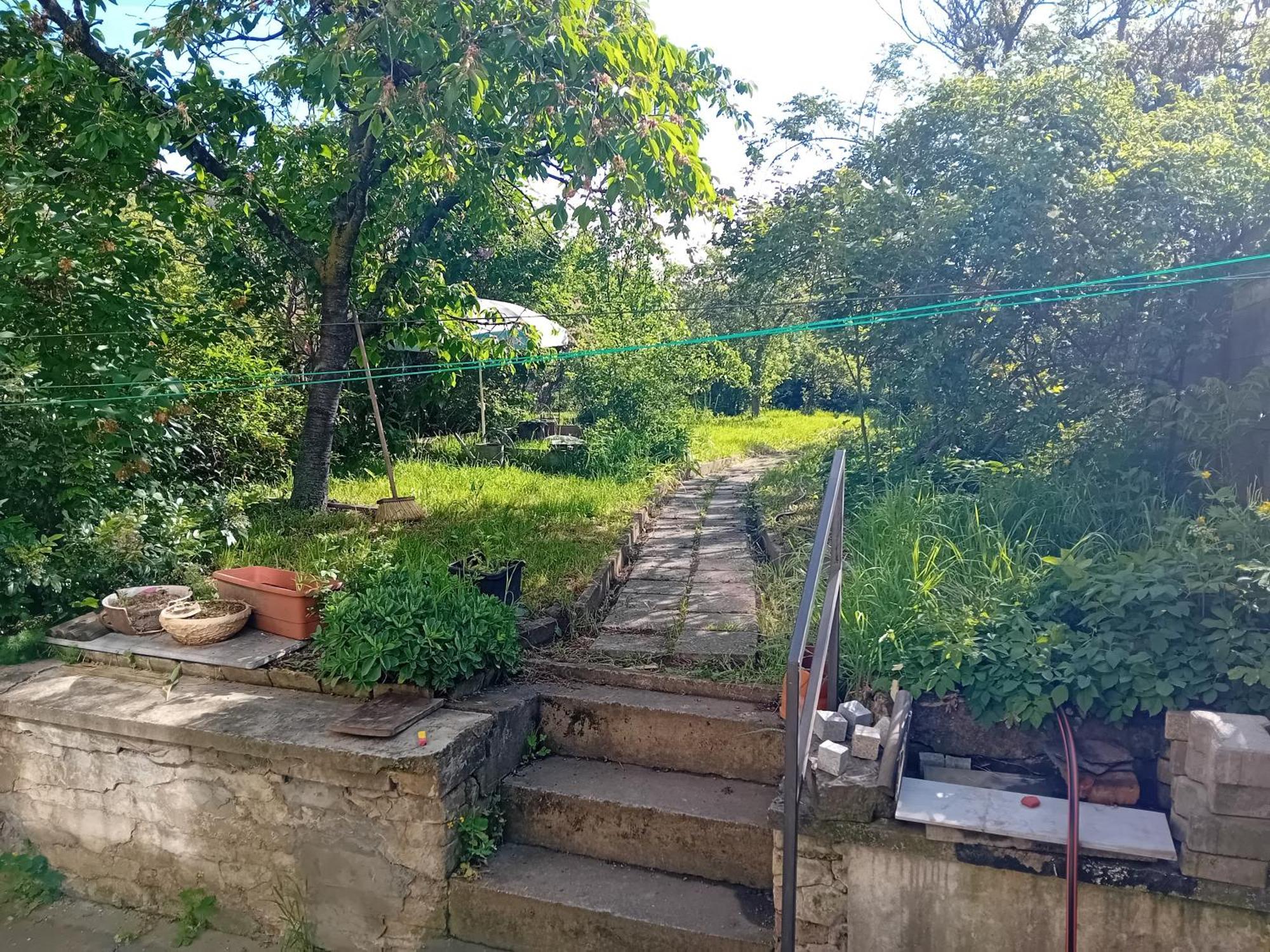 Holub Apartment In City Centrum Komarov المظهر الخارجي الصورة